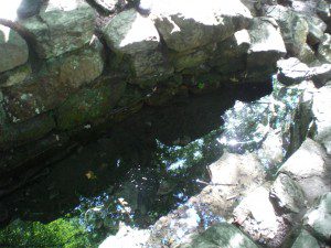 la fontaine de BARENTON autre lieu magique de la fôret de BROCELIANDE