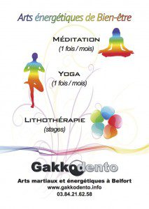 gakkodento_flyers_2015_energetiques